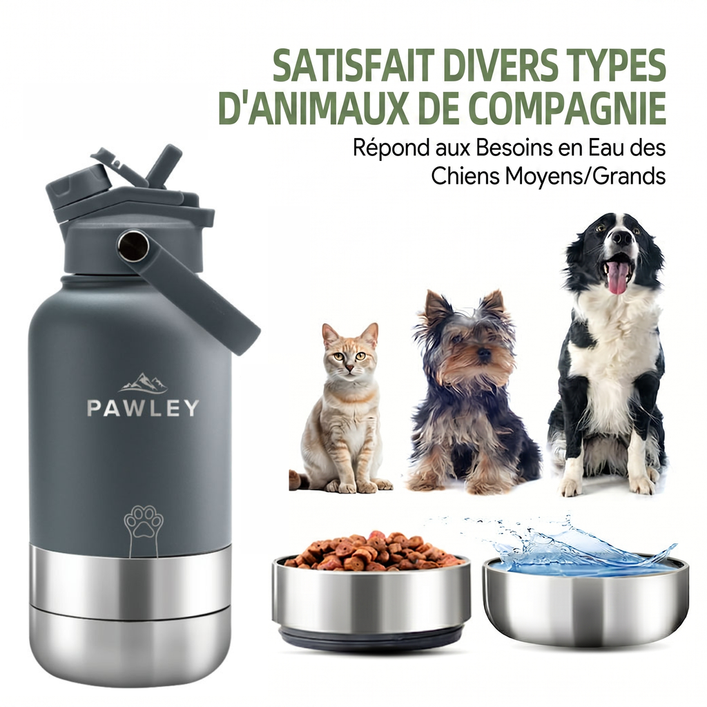 Gourde pour Chien Isotherme 3-en-1 | Inox 1L + 2 Gamelles | PAWLEY