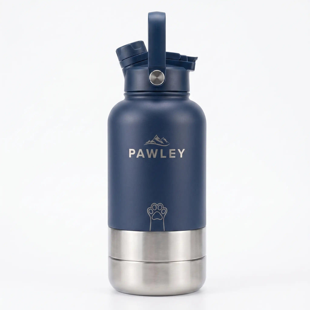 Gourde pour chien isotherme 3-en-1 Inox 1L + 2 Gamelles PAWLEY - PAWLEY