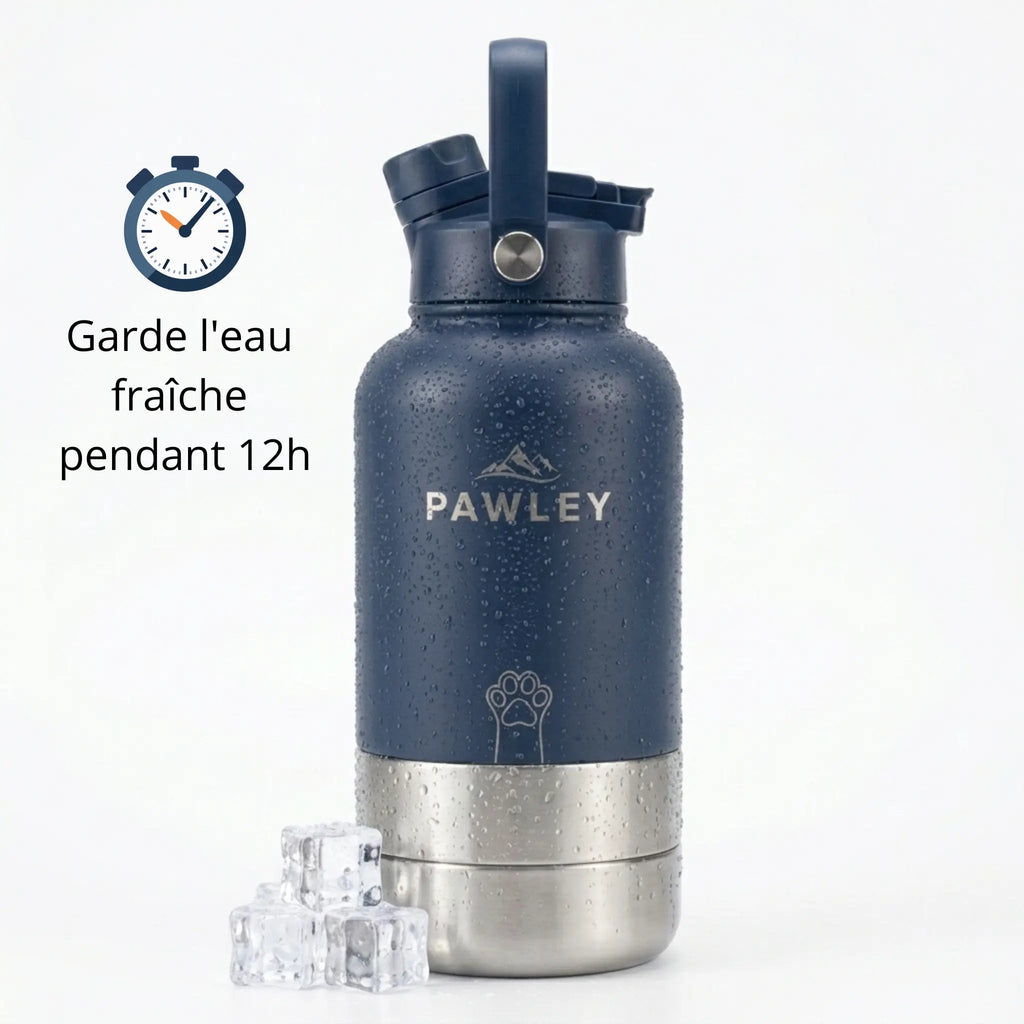 Gourde pour chien isotherme 3-en-1 Inox 1L + 2 Gamelles PAWLEY - PAWLEY