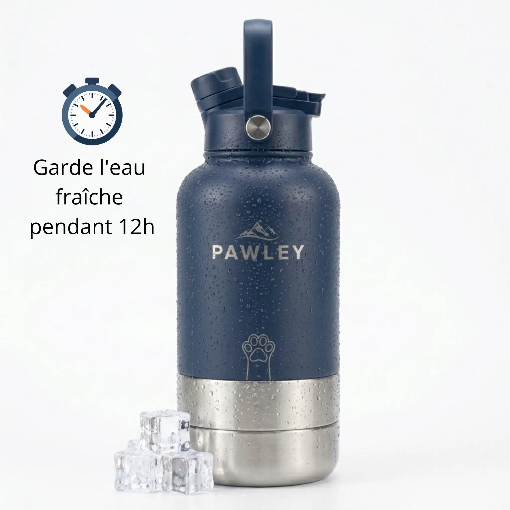 Gourde pour chien isotherme 3-en-1 Inox 1L + 2 Gamelles PAWLEY - PAWLEY