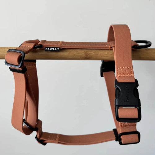 Harnais Chien Biothane Imperméable - Anti-Traction Y | PAWLEY (Caramel) - principal