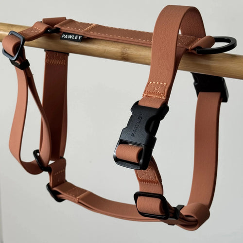 Harnais Chien Biothane Imperméable - Anti-Traction Y | PAWLEY (Caramel) - hero