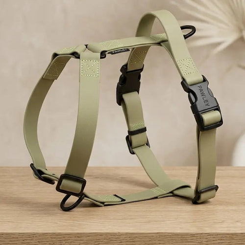 Harnais Chien Biothane Imperméable - Anti-Traction Y | PAWLEY (Sage Green) - PAWLEY